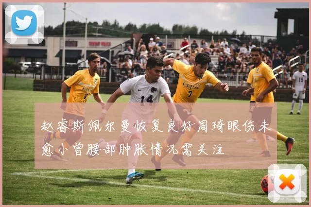 赵睿斯佩尔曼恢复良好周琦眼伤未愈小曾腰部肿胀情况需关注