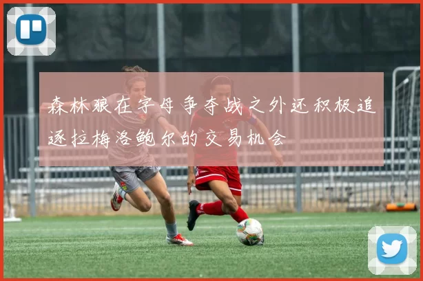 森林狼在字母争夺战之外还积极追逐拉梅洛鲍尔的交易机会